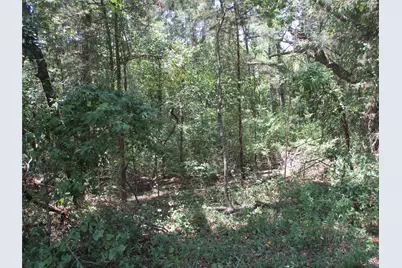 517 Rains County Road 1275, Emory, TX 75440 - Photo 3