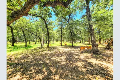 286 Cr 271, Abilene, TX 79562 - Photo 5