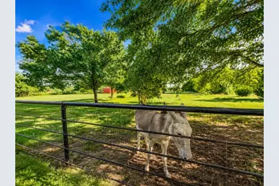 1817 County Road 3327, Greenville, TX 75402 - Photo 7