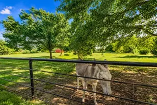 1817 Co Rd 3327, Greenville, TX 75402 - Photo 7