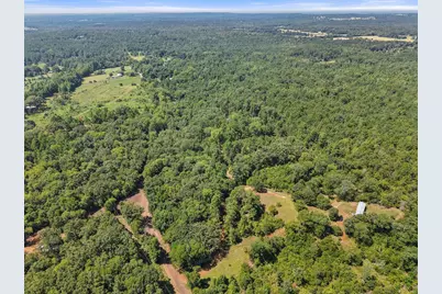 1684 An County Rd 441 Road, Palestine, TX 75803 - Photo 19