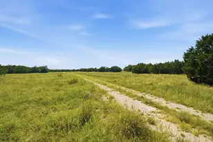 Tbd Fm 216, Iredell, TX 76649 - Photo 1