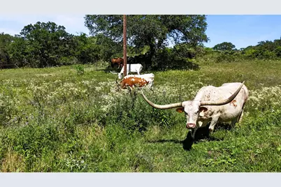 156 Pr 3626, Springtown, TX 76082 - Photo 33