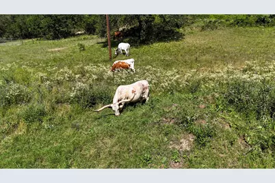 156 Pr 3626, Springtown, TX 76082 - Photo 31