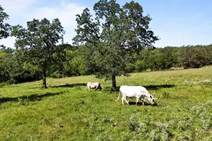 156 Pr 3626, Springtown, TX 76082 - Photo 5