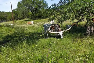 156 Pr 3626, Springtown, TX 76082 - Photo 29