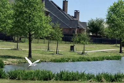 1306 Cypress Creek Way, Celina, TX 75009 - Photo 33
