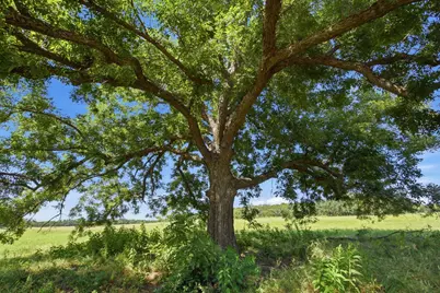 Tbd Fm 216 #45, Iredell, TX 76649 - Photo 21