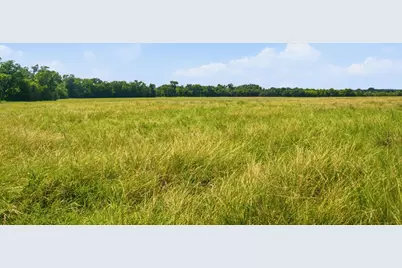 Tbd Fm 216 #45, Iredell, TX 76649 - Photo 17