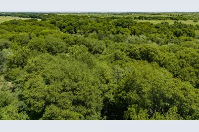 Tbd 59+/- Acres Applegate Rd, Bowie, TX 76230 - Photo 5