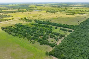 301 Co Rd 193, Carbon, TX 76435 - Photo 17