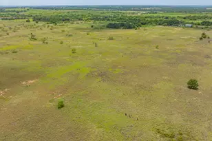301 Co Rd 193, Carbon, TX 76435 - Photo 11