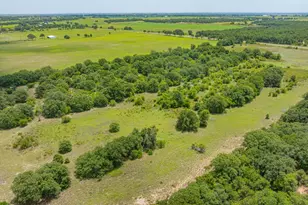 301 Co Rd 193, Carbon, TX 76435 - Photo 13