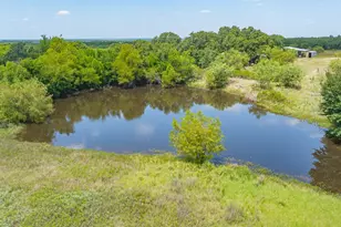 301 Co Rd 193, Carbon, TX 76435 - Photo 27