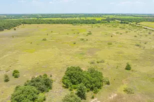 301 Co Rd 193, Carbon, TX 76435 - Photo 33