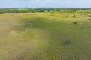 301 Co Rd 193, Carbon, TX 76435 - Photo 9