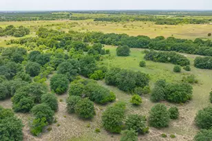 301 Co Rd 193, Carbon, TX 76435 - Photo 15