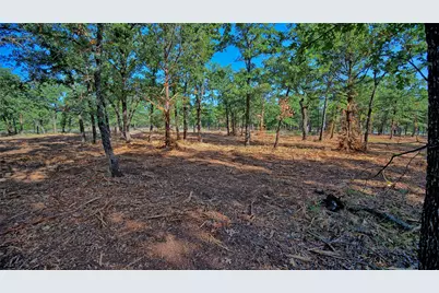 Lots 352-354 Preserve Court, Sunset, TX 76270 - Photo 5