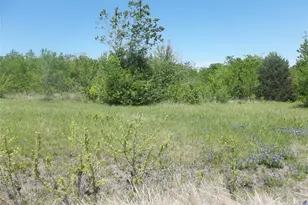 3 Acres S Hwy 287, Corsicana, TX 75109 - Photo 1