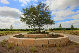 11217 Orchard Ln, Justin, TX 76247 - Photo 13