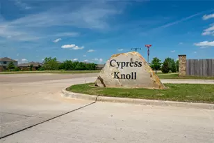 8945 Blackhaw St, Forney, TX 75126 - Photo 19