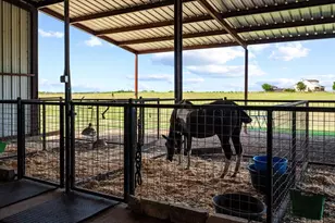 975 FM85, Ennis, TX 75119 - Photo 33