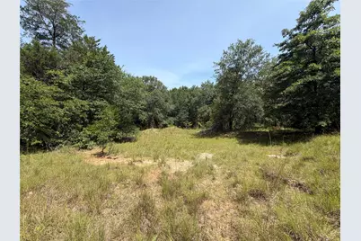 0 Tbd Hare Lane #11 Acre, Greenville, TX 75402 - Photo 11