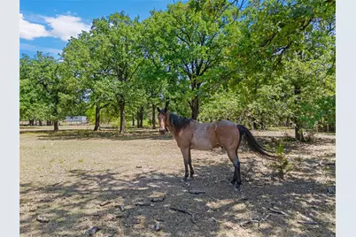 1047 Fort Hill Road, Waco, TX 76705 - Photo 21