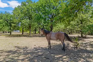 1047 Fort Hill Rd, Waco, TX 76705 - Photo 21