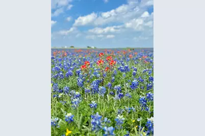 Lot 5 Fm-879, Ennis, TX 75152 - Photo 5