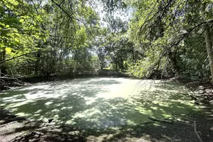 1229 Epps Rd, Palmer, TX 75152 - Photo 37
