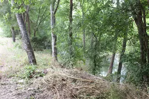 13762 County Rd 4124, Crandall, TX 75114 - Photo 9