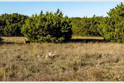 Ranch 28, County Road 208, Hico, TX 76457 - Photo 17