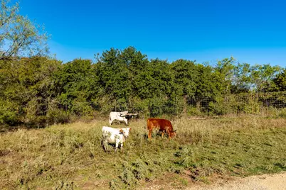 Ranch 28, County Road 208, Hico, TX 76457 - Photo 19