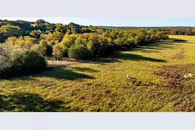 Ranch 28, County Road 208, Hico, TX 76457 - Photo 23