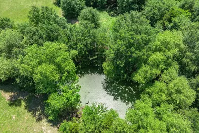 Lot 5 State Hwy 19, Emory, TX 75440 - Photo 13