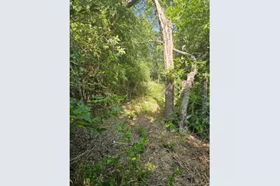 215 N Houston School Road, Lancaster, TX 75146 - Photo 3
