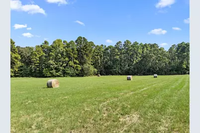 1081 County Road 3875, Mineola, TX 75773 - Photo 3