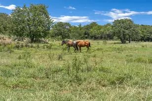 3911 N Hwy 281, Mineral Wells, TX 76067 - Photo 37