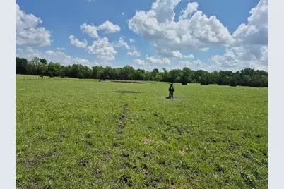 9561 N Tx-50 Highway, Ladonia, TX 75449 - Photo 3