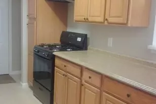 4412 Central Ln, Balch Springs, TX 75180 - Photo 3