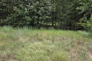 126 Tipps Rd, Whitesboro, TX 76273 - Photo 13