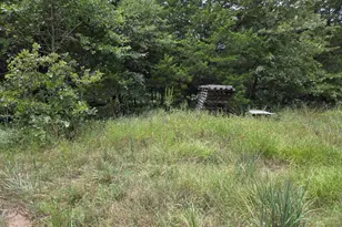 126 Tipps Rd, Whitesboro, TX 76273 - Photo 15
