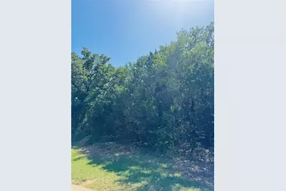 24019 Wood Hollow Drive, Whitney, TX 76692 - Photo 3