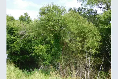 Tbd Fm 2114, Hubbard, TX 76648 - Photo 3