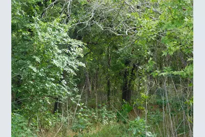 Tbd Fm 2114, Hubbard, TX 76648 - Photo 7