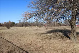 225 Co Rd 472, Ranger, TX 76470 - Photo 35