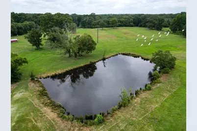 1509 County Road 3170, Quitman, TX 75783 - Photo 21
