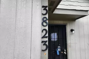 3823 Colonial Ave, Dallas, TX 75215 - Photo 19