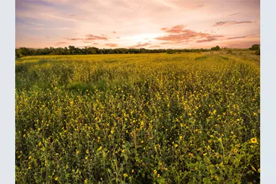 1549 Fm 219, Clifton, TX 76634 - Photo 27